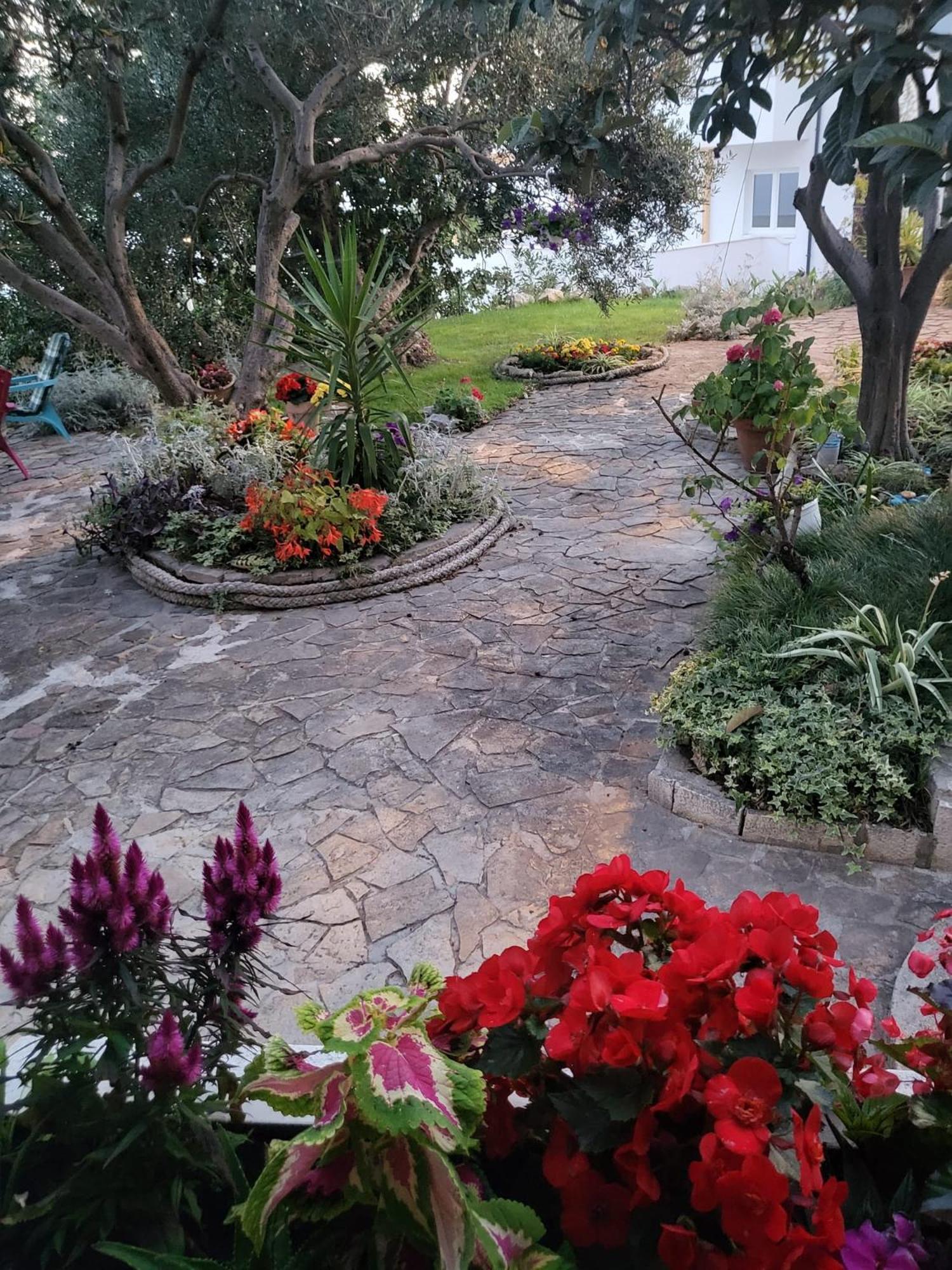 Apartment Becica Omis Exterior photo