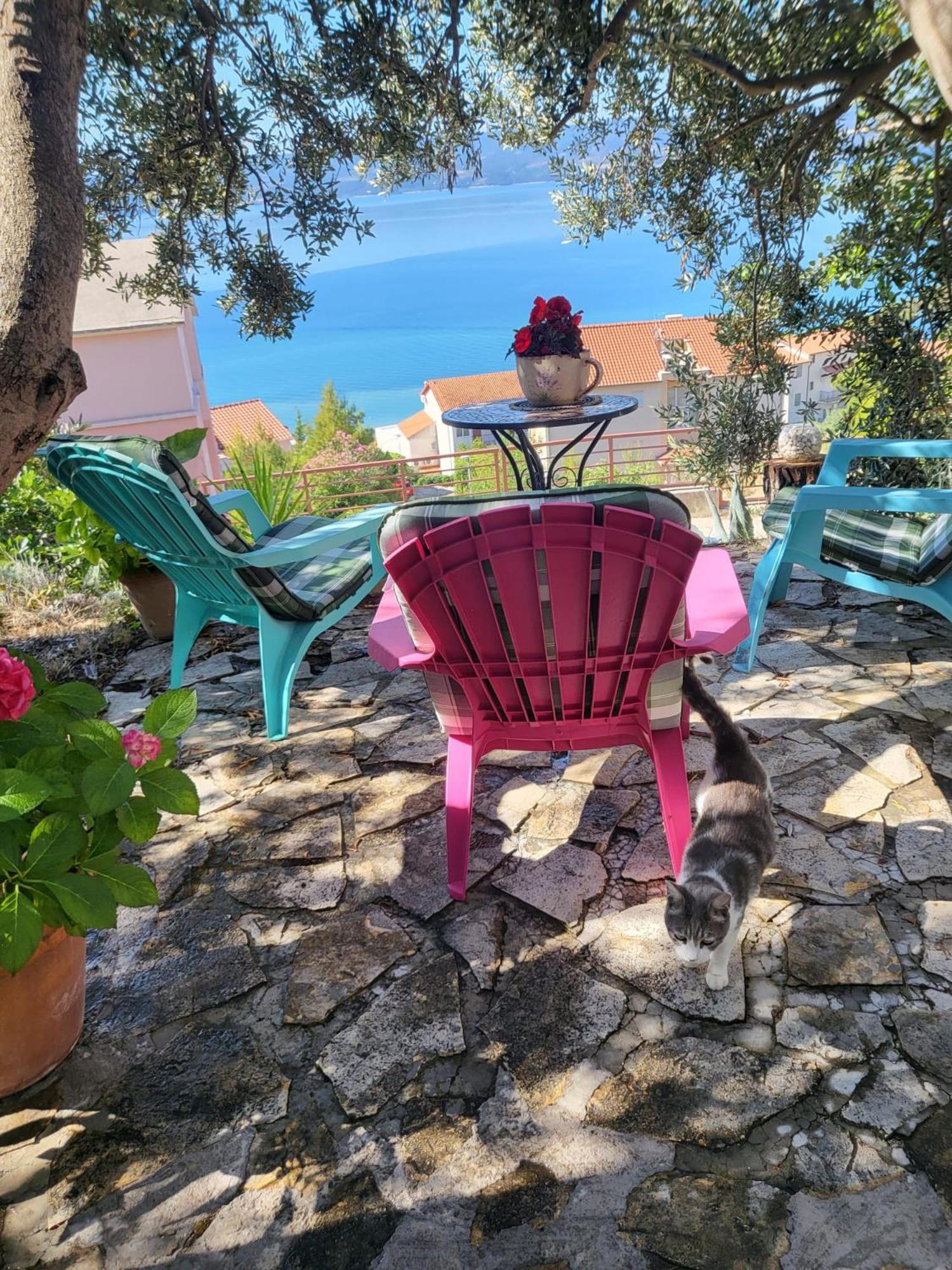 Apartment Becica Omis Exterior photo